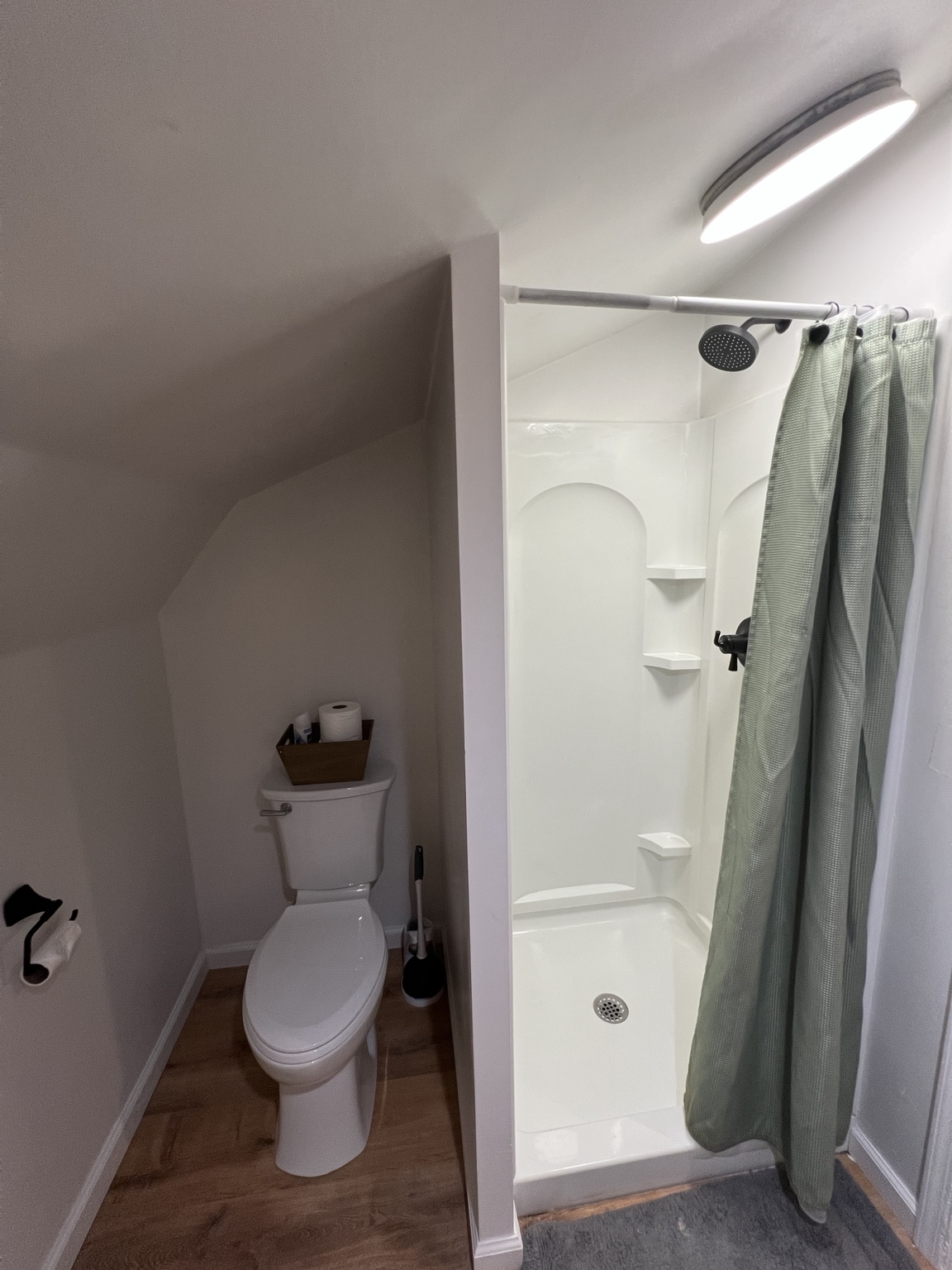 Walk-in shower with sage curtain beside the toilet